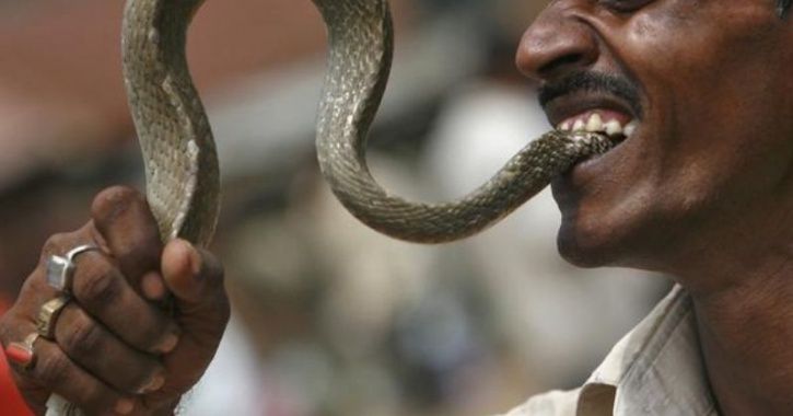 Tibetan Snake Catcher